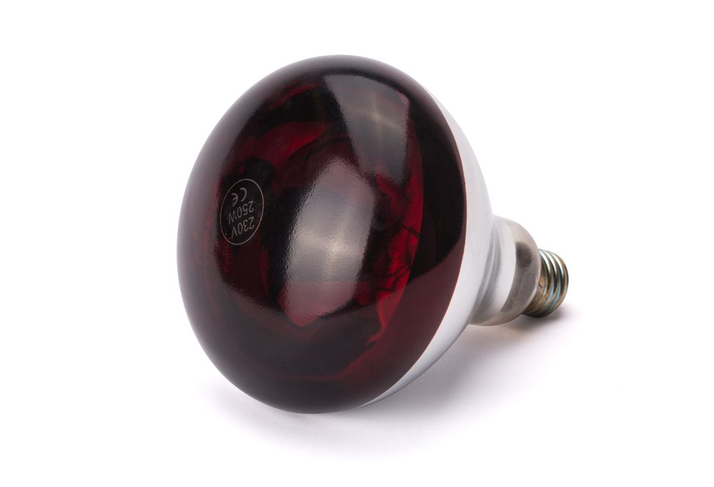 __import__Hendi__8711369919217-2