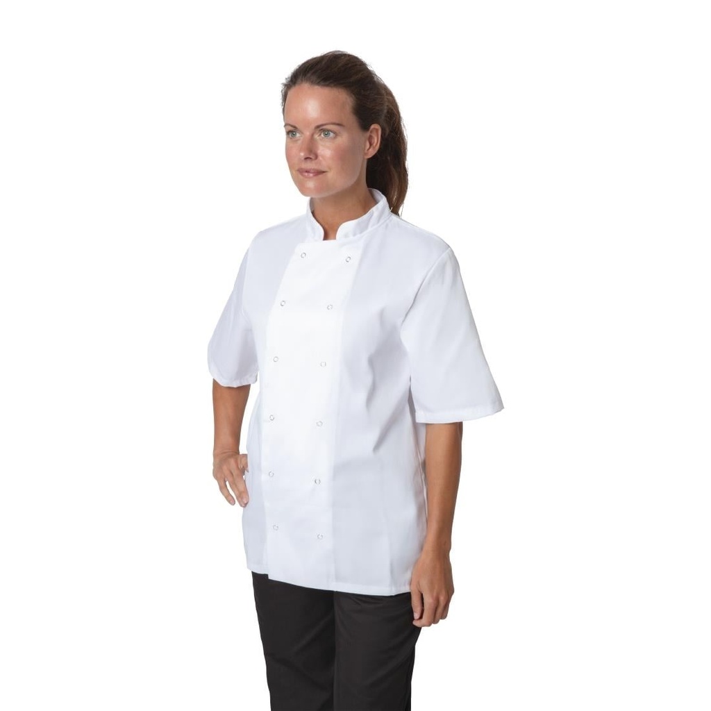 __import__Gastronoble__B250-XL-9
