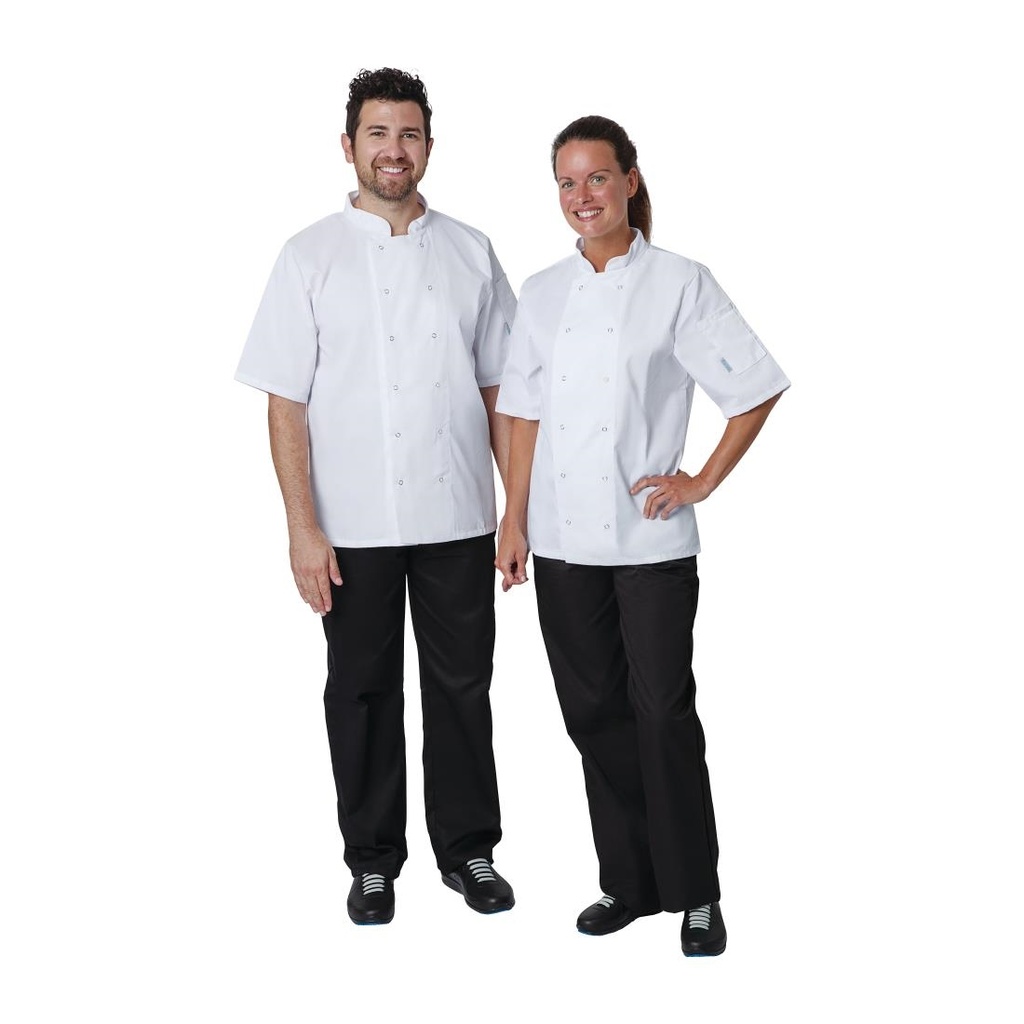 __import__Gastronoble__A211-XS-2