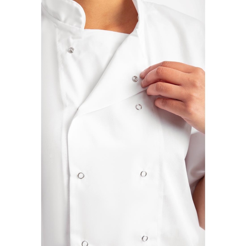 __import__Gastronoble__B250-L-4
