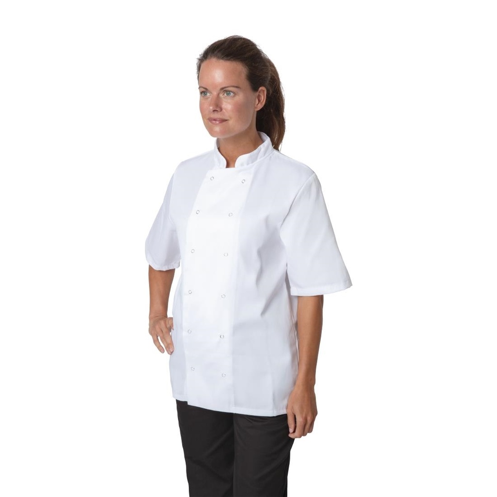 __import__Gastronoble__B250-L-5