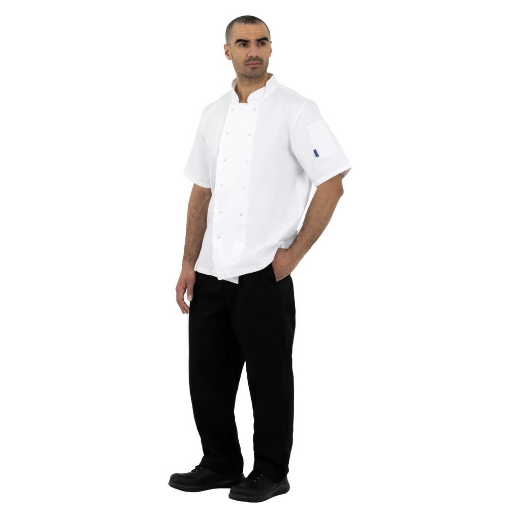 __import__Gastronoble__B250-L-6