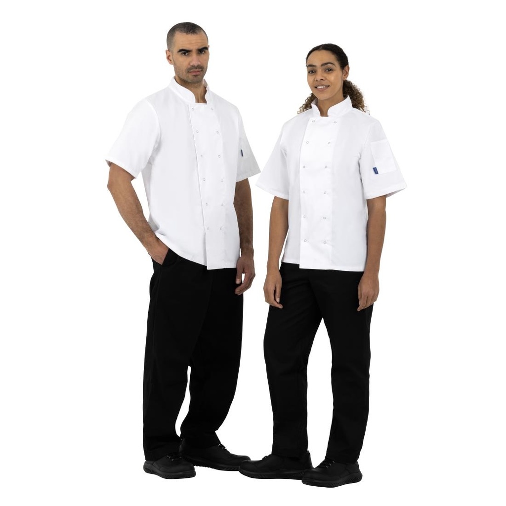 __import__Gastronoble__B250-L-7