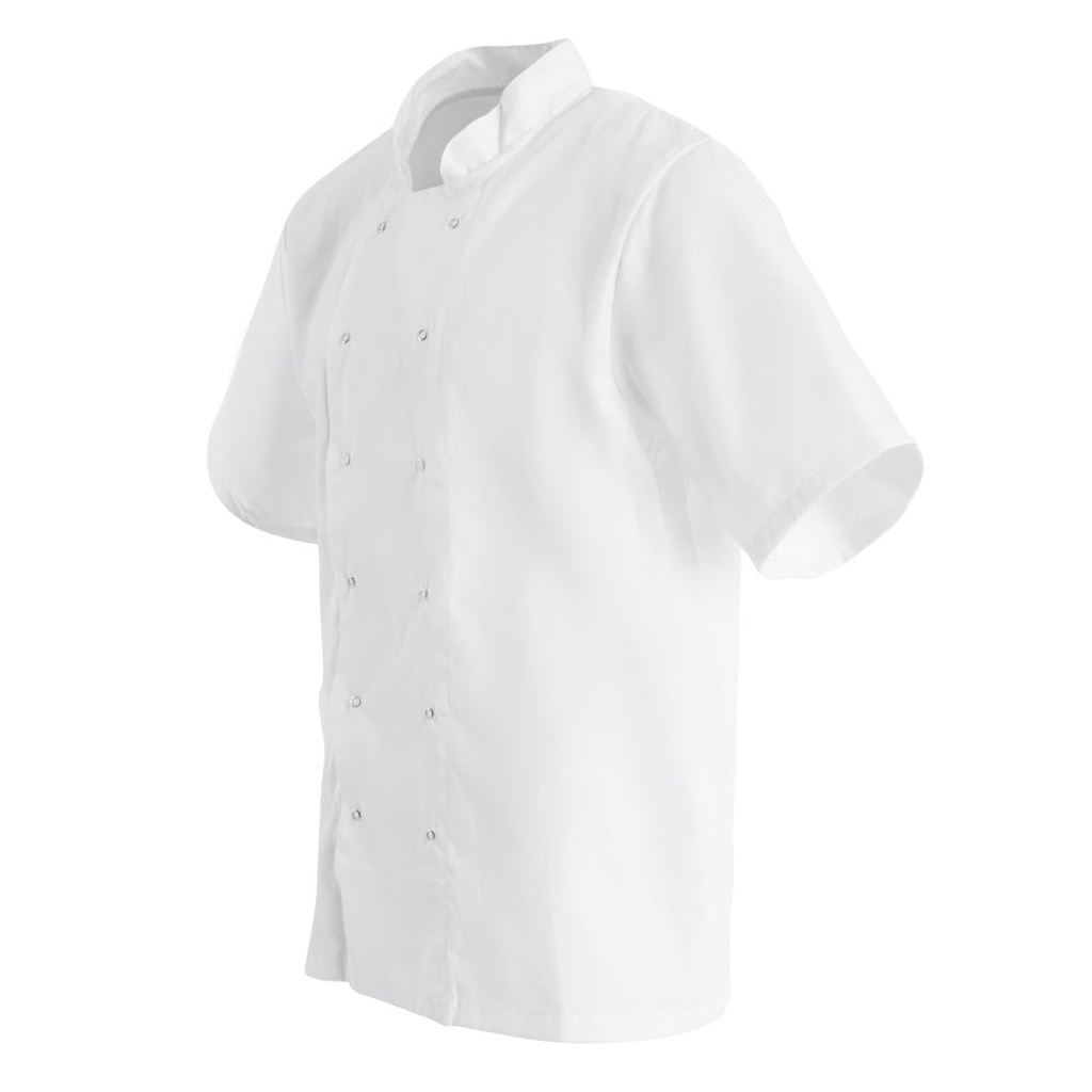 __import__Gastronoble__B250-XL-3