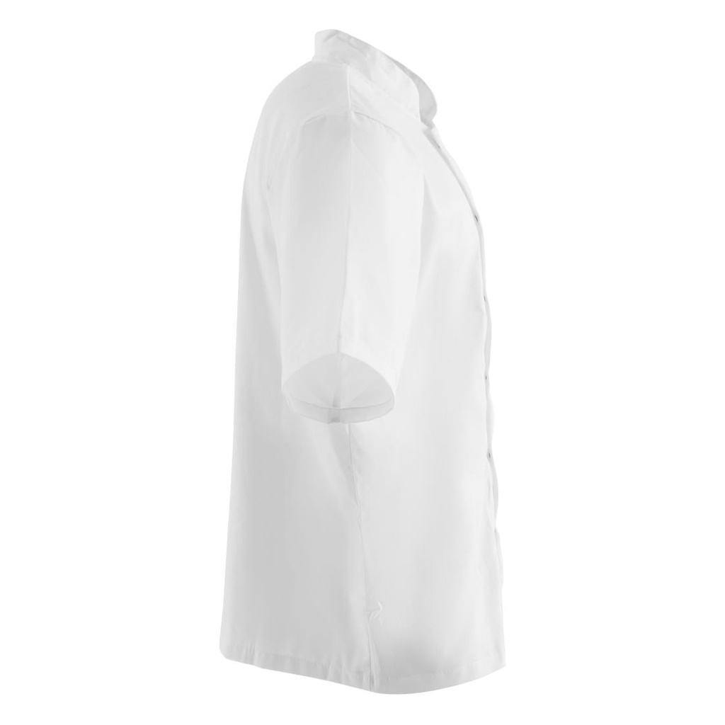 __import__Gastronoble__B250-XL-4
