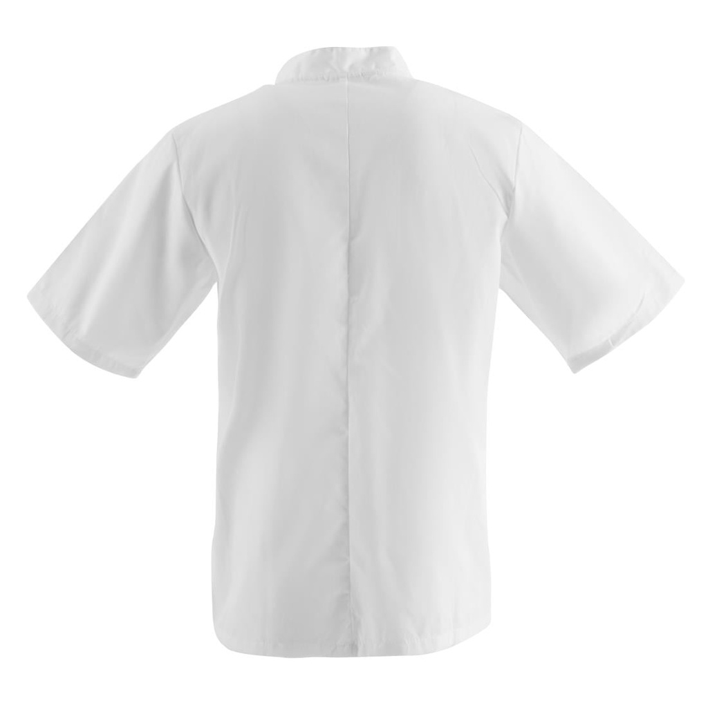 __import__Gastronoble__B250-XL-5
