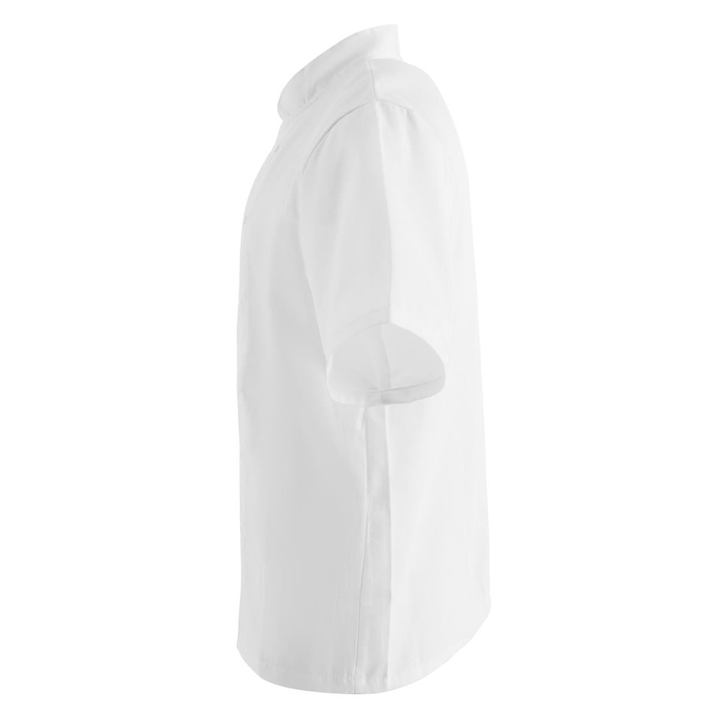 __import__Gastronoble__B250-XL-6
