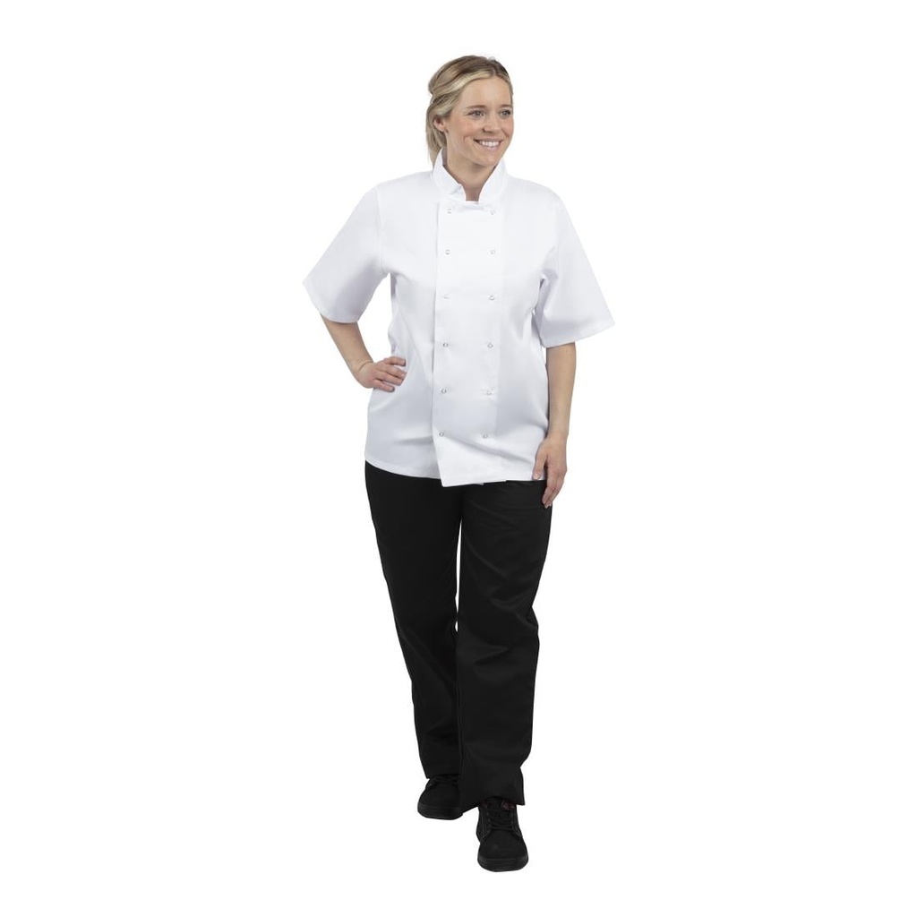 __import__Gastronoble__B250-XL-7