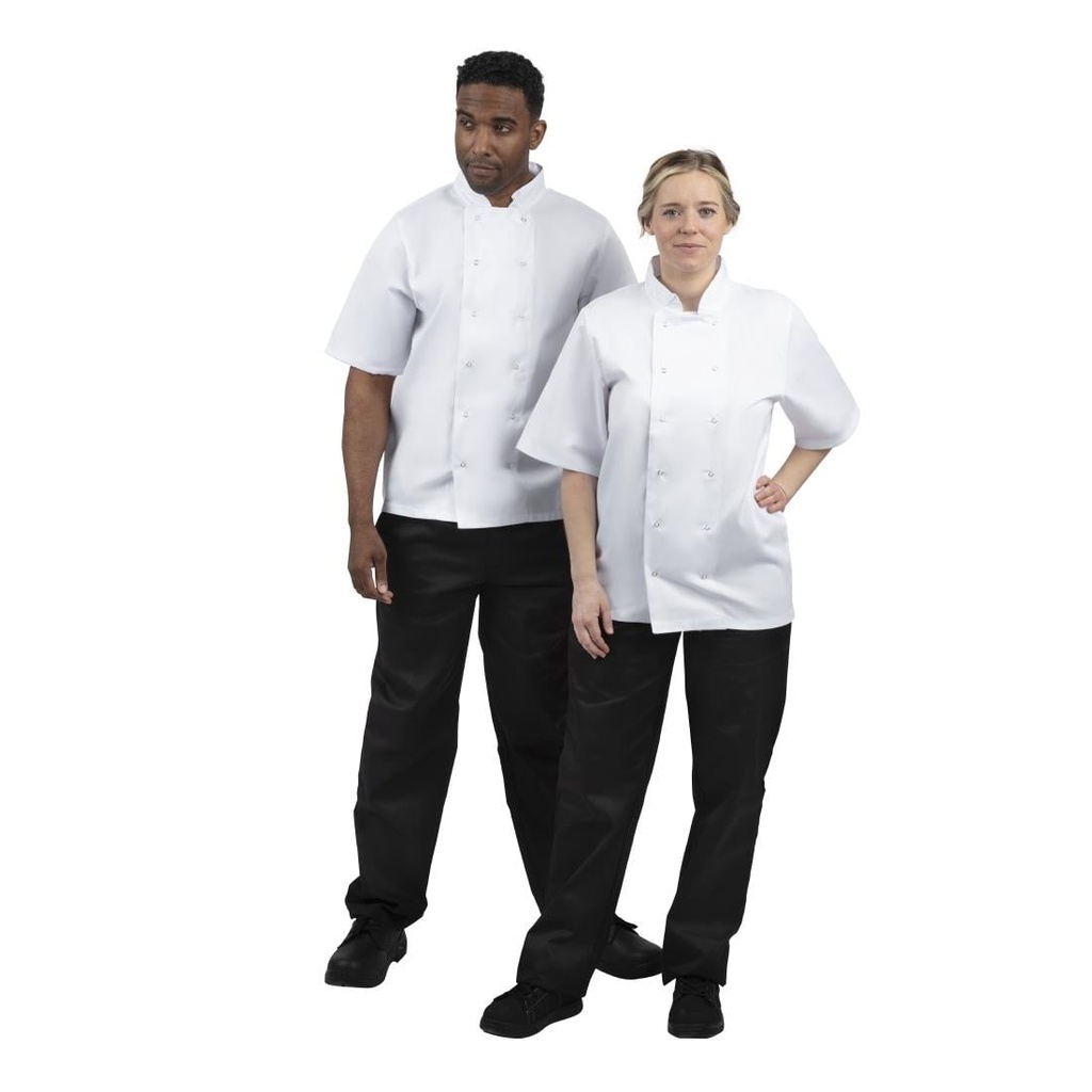 __import__Gastronoble__B250-XL-8