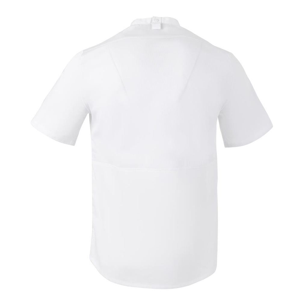 __import__Gastronoble__BA116-XL-2