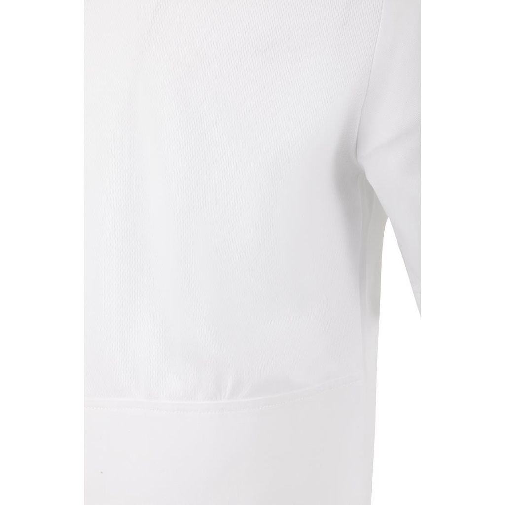 __import__Gastronoble__BA116-XL-4