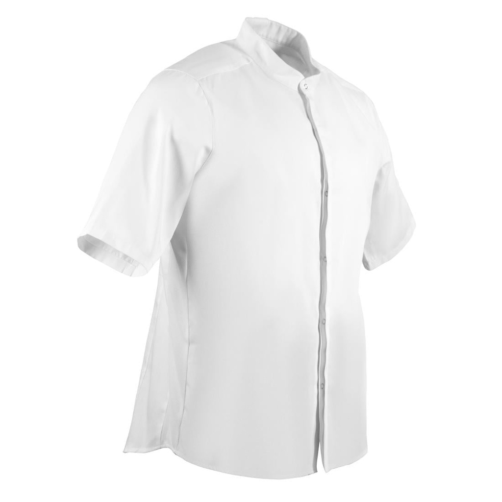 __import__Gastronoble__BB702-XL-1
