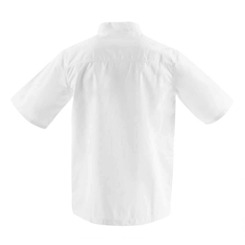__import__Gastronoble__DL711-S-5