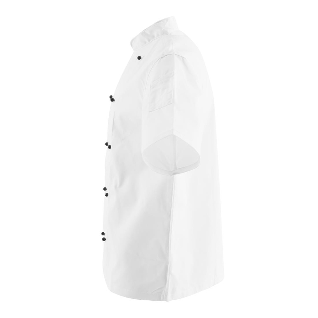 __import__Gastronoble__DL711-XL-6