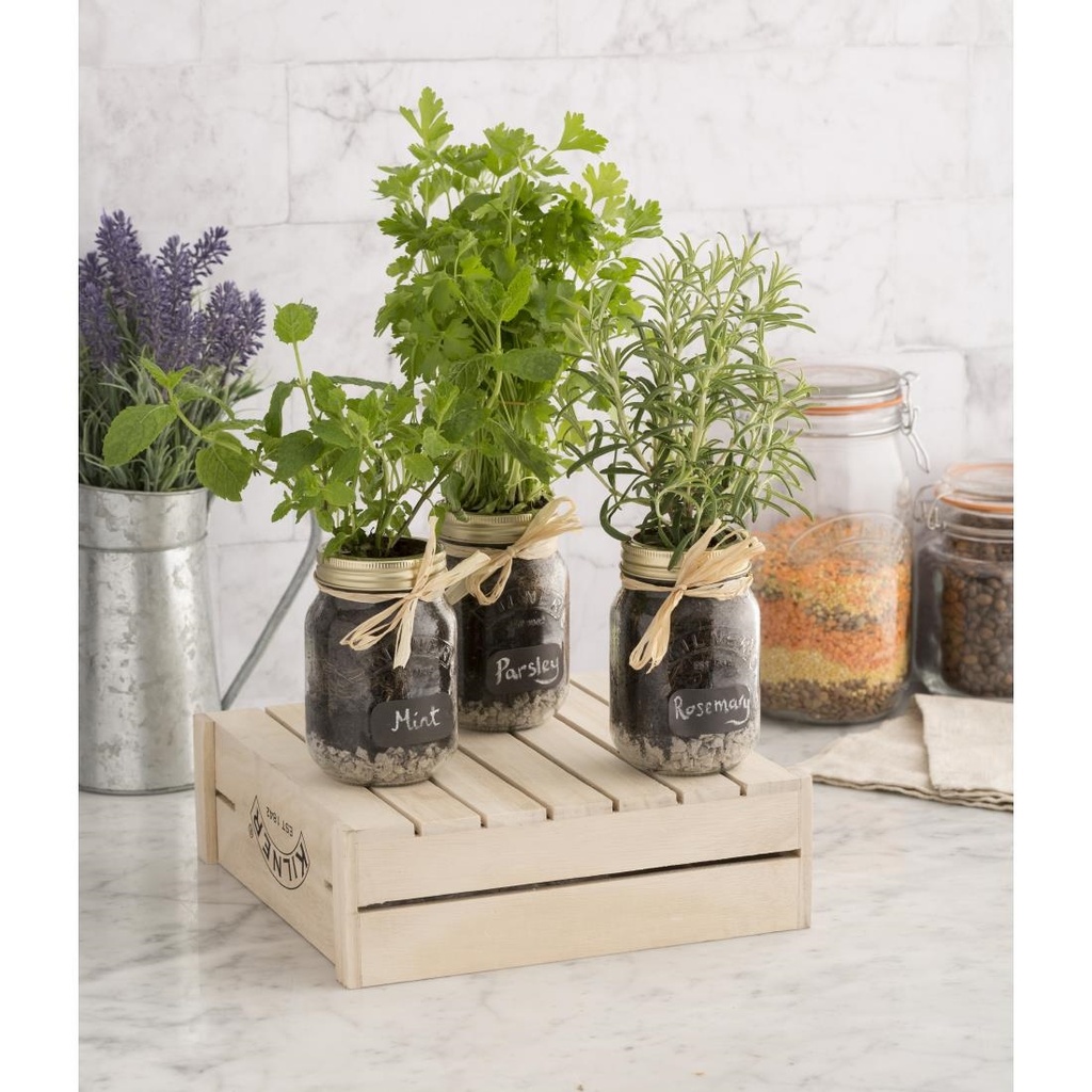 __import__Gastronoble__GG785-6