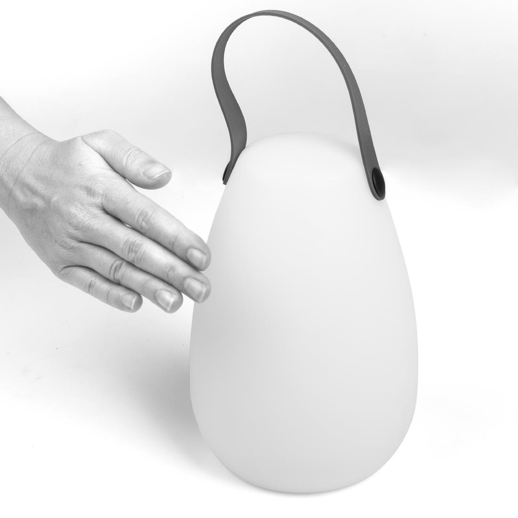 __import__Gastronoble__HU415-6