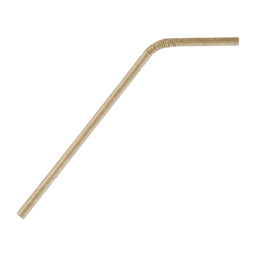 Fiesta Compostable composteerbare papieren buigrietjes kraft (250 stuks)