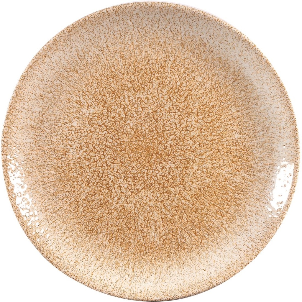 Churchill Raku Garnet Orange Evolve Coupe Bord 26cm (12 stuks)