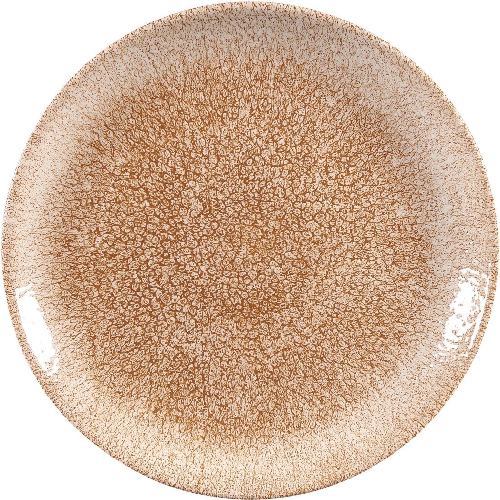 Churchill Raku Garnet Orange Evolve Coupe Bord 22cm (12 stuks)