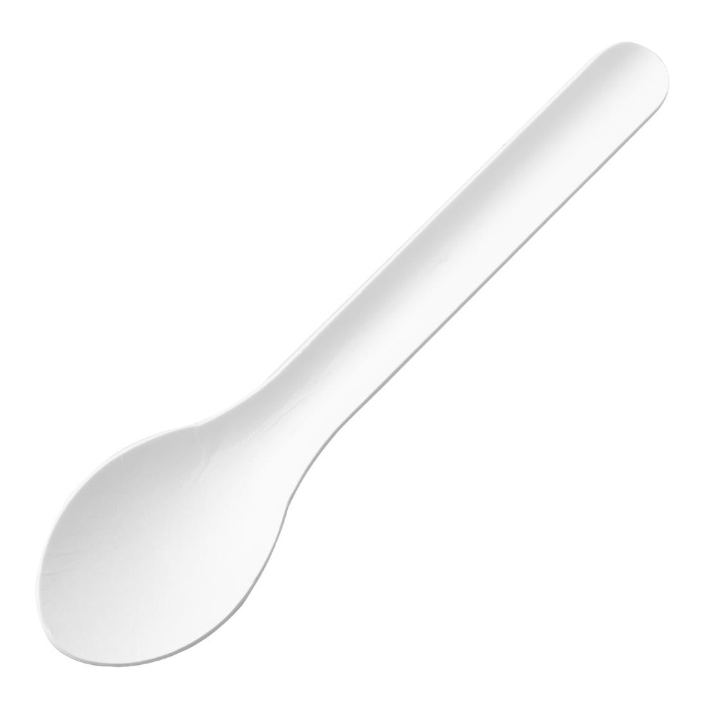 Fiesta Composteerbare Papieren Lepels 150mm (100 stuks)