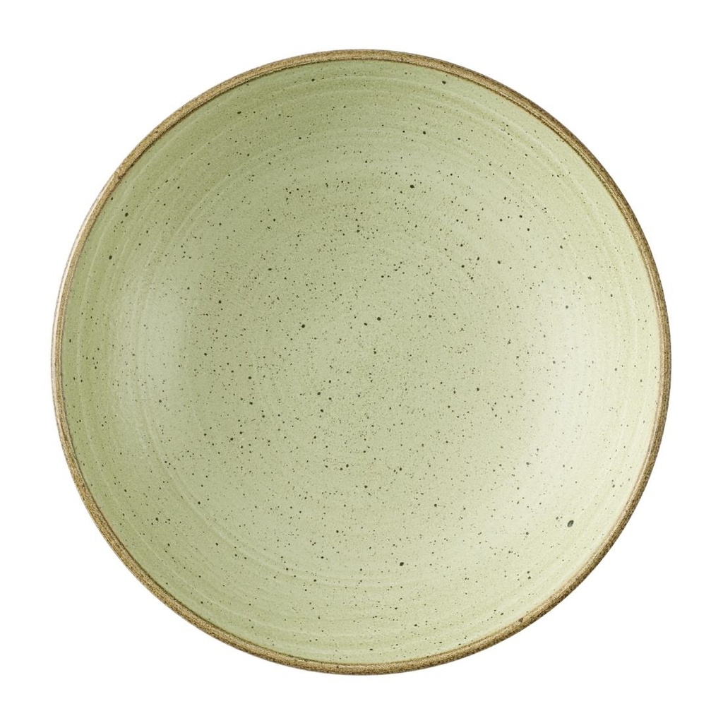 Churchill Stonecast Raw Green Evolve Coupe Schalen 247mm (12 stuks)