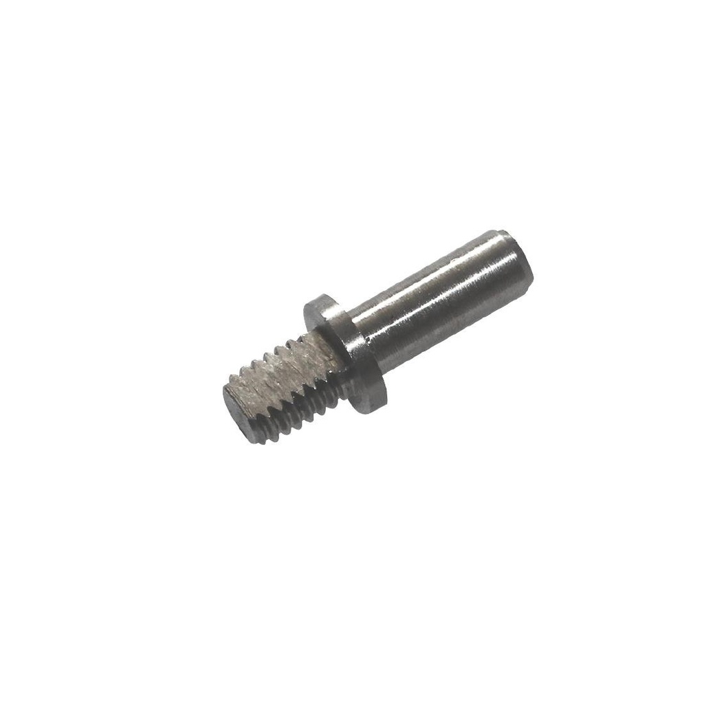 Polar Deurscharnier As