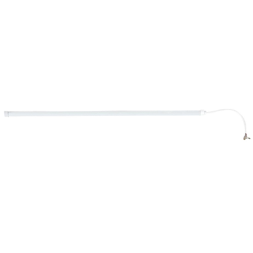 Polar Led Licht