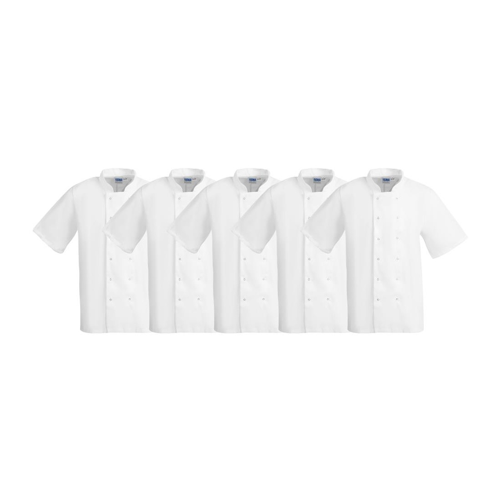 Whites Boston Unisex Koksbuis Wit M (5 stuks)