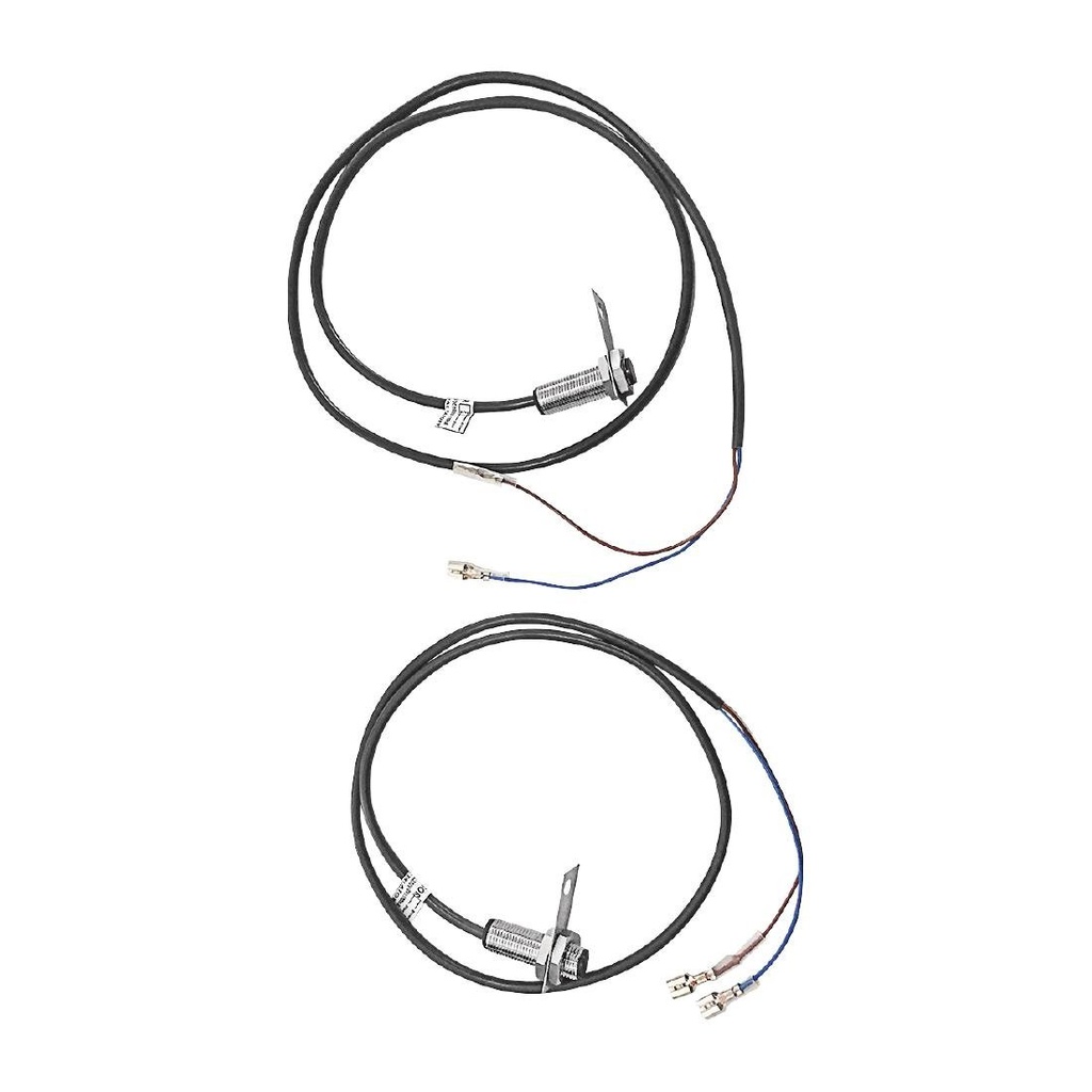 Buffalo Reed Switch