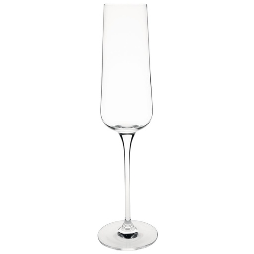 [CS467] Olympia Claro champagne flutes 260ml (6 stuks)