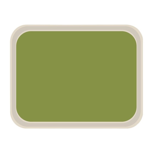 [DS088] Roltex America polyester dienblad 46 x 36cm groen