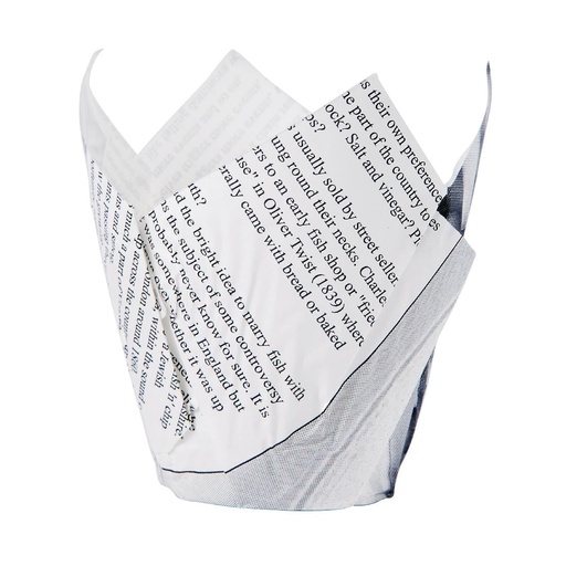[GK973] Krantenprint frietpapier (1100 stuks)