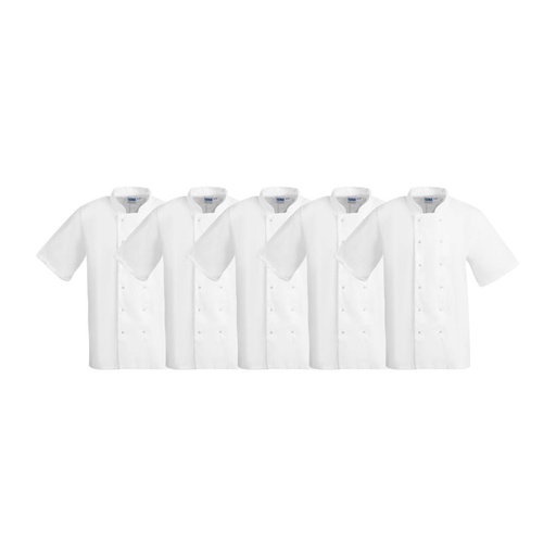 [SA822] Whites Boston Unisex Koksbuis Wit M (5 stuks)